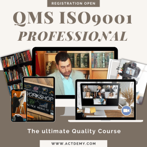 QMS ISO9001 Professional